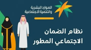 تحديث جديد.. الاستعلام عن نتائج أهلية الضمان الاجتماعي الدورة 48 لجميع المستفيدين
